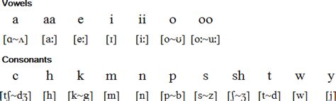 Oji-Cree syllabary, pronunciation and language