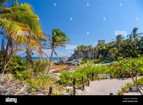 White sand beach with palms, temple of the descending god, Mayan Ruins ...