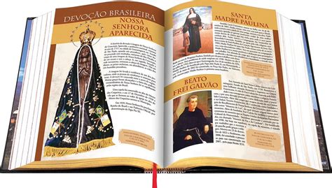 Bíblia Sagrada Católica Ilustrada Grande Dcl - Edição Luxo - R$ 84,90 em Mercado Livre