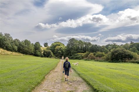 Barnard Castle walk - Teesdale Way - Egglestone Abbey - Durham walks