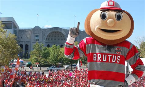 Brutus Buckeye Wallpaper - Find The Perfect Image On Wallpapersafari