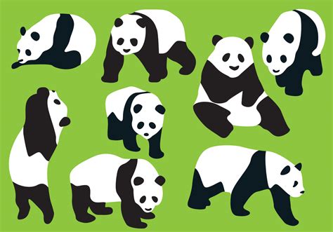 Bear silhouette, Panda images, Vector art design