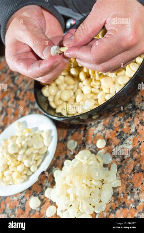 Closeup peeling, before and after bowls with lupini beans superfood, part of legum family ...