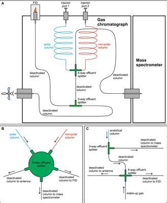 Frontiers | GC-MS/FID/EAD: A method for combining mass spectrometry with gas chromatography ...