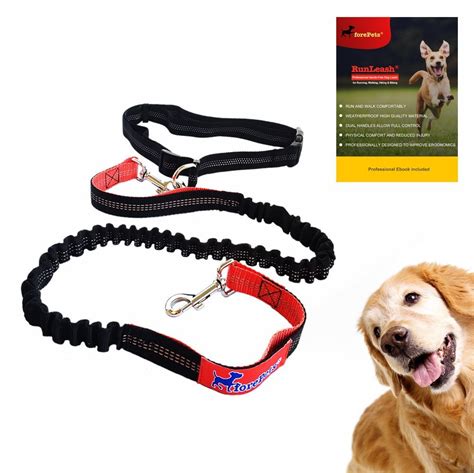 Professional Hands-Free Dog Leash for Running, Walking, Hiking & Biking | Best New Improved ...