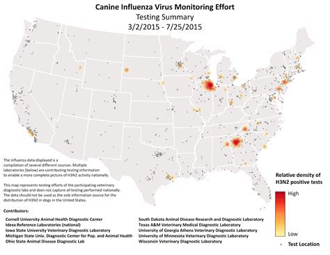 A Vet's Guide To Life: Lessons From The Flu Outbreak