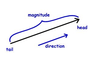 Vector representationA vector is drawn as a line with an arrow at the end.The length of line is ...