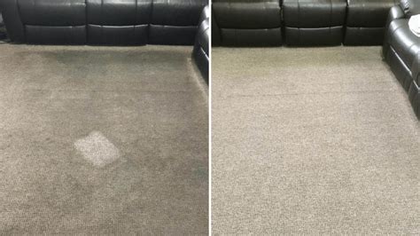 Domestic Carpet Cleaning - Alliance Cleaning Systems