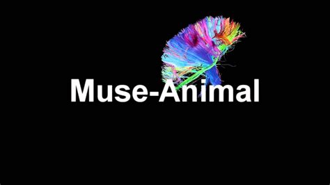 Muse Animals - YouTube