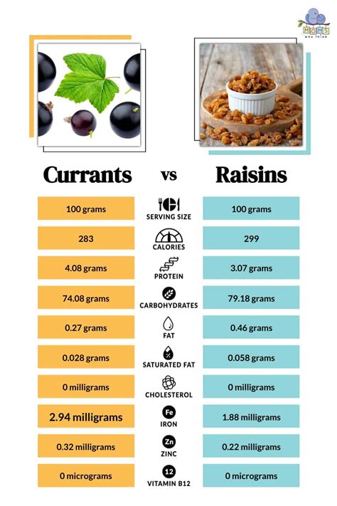 Currants vs. Raisins: How They're Different & Health Benefits For Each