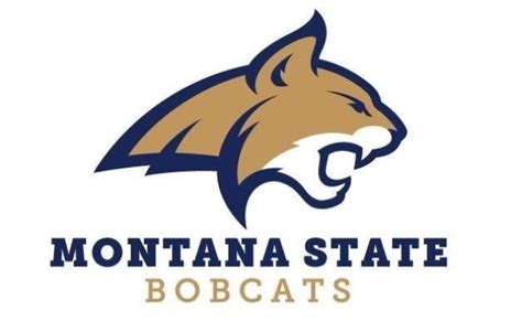 Montana State sends nine track athletes to NCAA regional | Bobcats ...