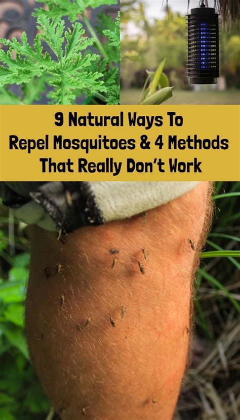 9 Natural Ways To Repel Mosquitoes And 4 That Don't Work | Mosquito repellent homemade, Natural ...