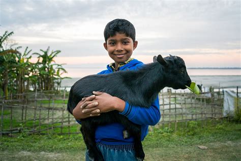 Brahmaputra River Day Cruise | Lahé Life | India River Cruises