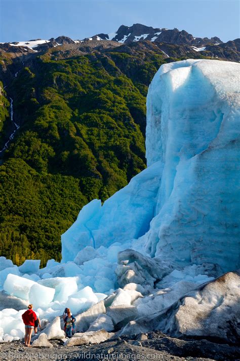 Exit Glacier National Park