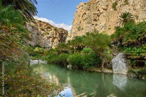 Preveli gorge, palm forest along river Megalopotamos and canyon ...