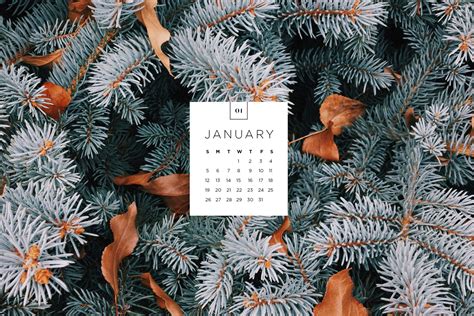 2024 January Calendar Wallpaper Aesthetic Wallpaper - Rae Leigha