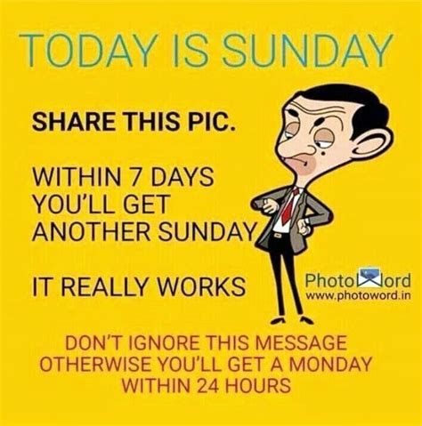 Happy Sunday | Funny quotes sarcasm, Silly memes, Good morning sunday images