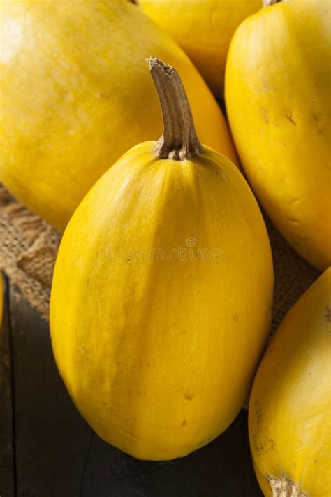 Raw Organic Yellow Spaghetti Squash Stock Image - Image of produce ...