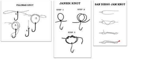 Palomar Knot Diagram