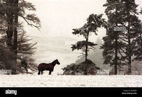 Weather - Winter Snowfall - Scottish Borders Stock Photo - Alamy