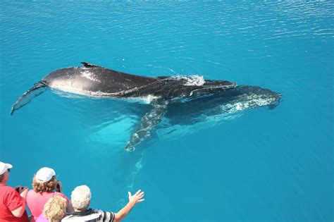 Fraser Island Tours – Fraser Island Tours