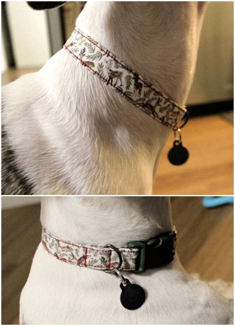 15 Easy DIY Dog Collar Ideas To Make Your Own Dog Collar