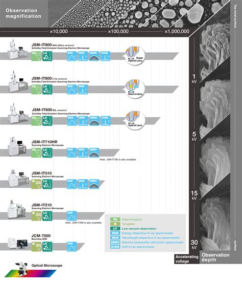 Scanning Electron Microscope (SEM) | Products | JEOL Ltd.