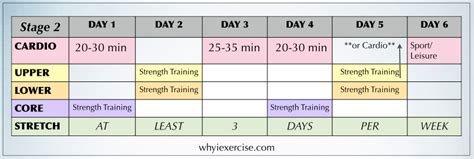 Free exercise program: workout calendar plus a guide to exercise.