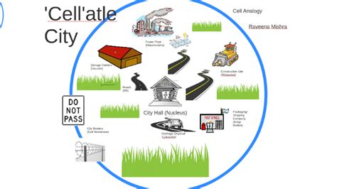 Animal Cell Analogy City by Raveena Mishra in 2021 | Cell analogy ...