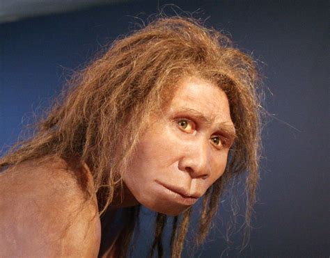 Homo - Wikipedia | Human species, Ancient humans, Hominid