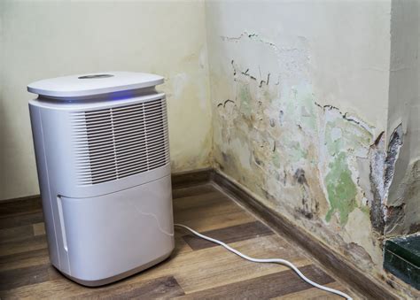 Does a Dehumidifier Kill Mold - Water Mold Fire Restoration