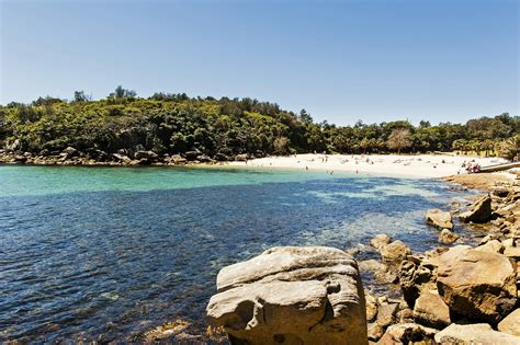 12 of the best beaches in Sydney - Lonely Planet