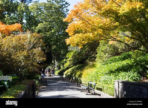 Wellington Botanic Garden Stock Photo - Alamy