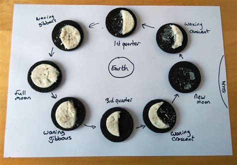 Quick Science Idea : Oreo Cookie Moon Phase Model