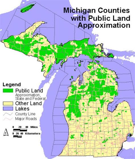 Deer Hunting News For Michigan - Public Lands, Deer Car Accidents