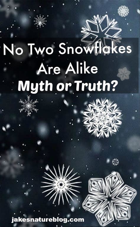 Are All Snowflakes Unique? Myth or Fact? - Jake's Nature Blog