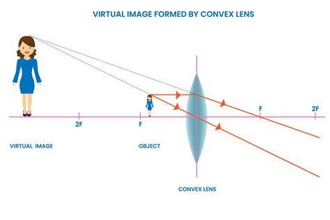 Convex lens forms virtual image, Upright, located behind the lens, cannot be projected 25905082 ...