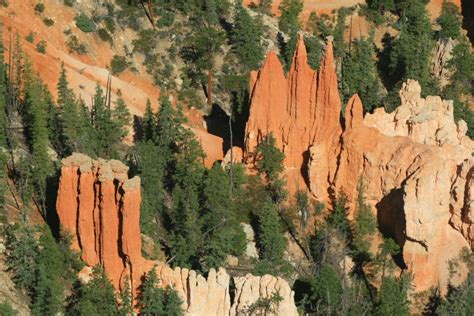 Earthly Musings - My Travel and Geology Blog: Geology Festival at Bryce Canyon