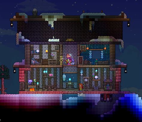 Cool Snow Biome House Terraria - Goimages Signs