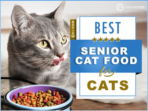 Our 2019 Guide to Picking the Best Senior Cat Food for Elderly Cats