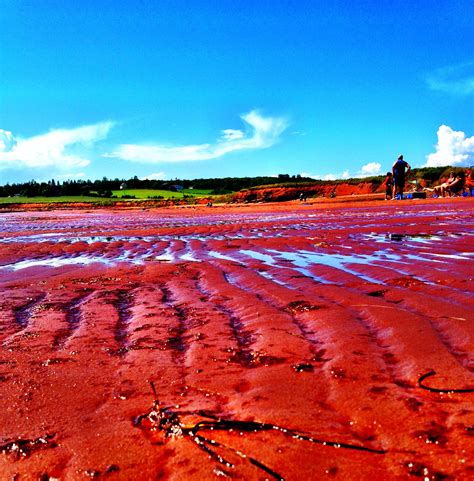 Red Sand beaches of Prince Edward Island | Red sand beach, Prince ...