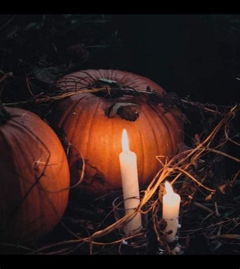 Pin by Eleniaki Violet on Samhain | Halloween pumpkins, Pumpkin carving, Samhain