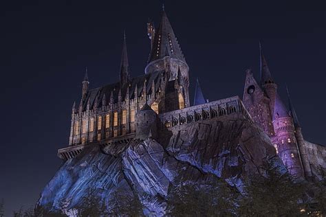 HD wallpaper: dark, trees, Hogwarts, landscape, magic, castle, night ...