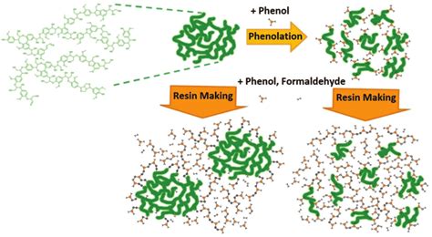 Schematic representation of the effect of phenolation on resin... | Download Scientific Diagram