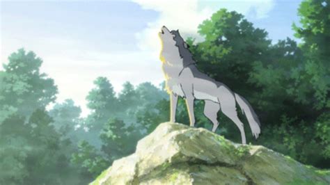 Anime Wolves ~ Fight - YouTube