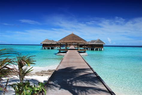 Free Beach huts in the Maldives - Image