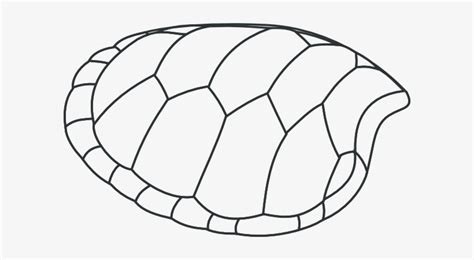 How To Draw A Shell