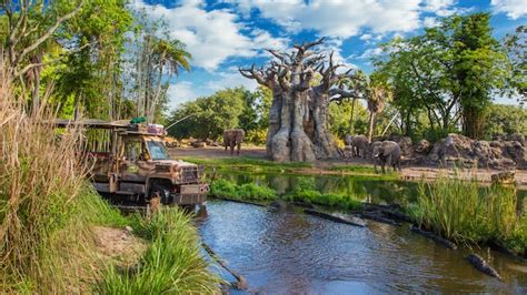 Kilimanjaro Safaris | Animal Kingdom Attractions | Walt Disney World Resort