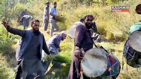 The Gujjar Bakarwal culture of singing while cutting grass continues ...