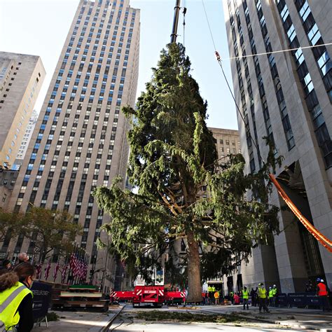 How Tall Is Rockefeller Christmas Tree 2021